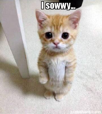 i sowwy